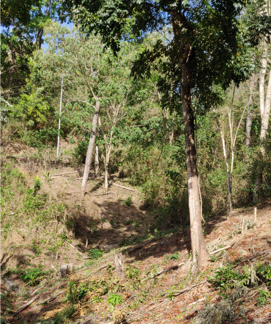 GeoDiscover Topographic Survey 2